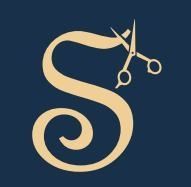 Logo de Saloony
