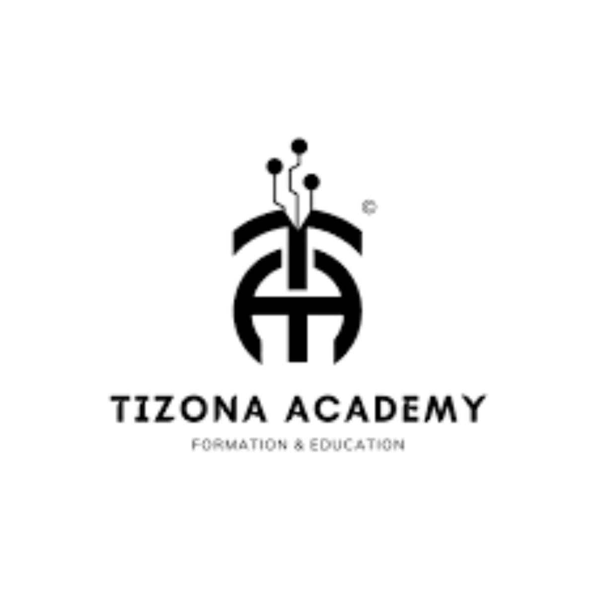 Logo de Tizona Academy