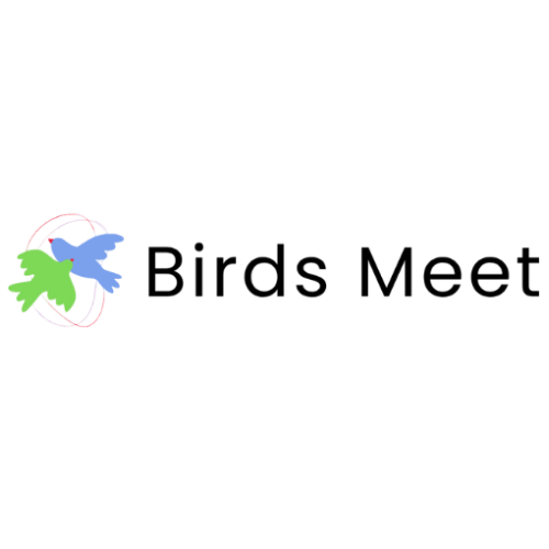 Logo de Birds Meet