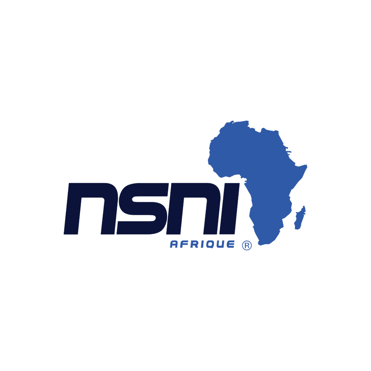Logo de NSNI