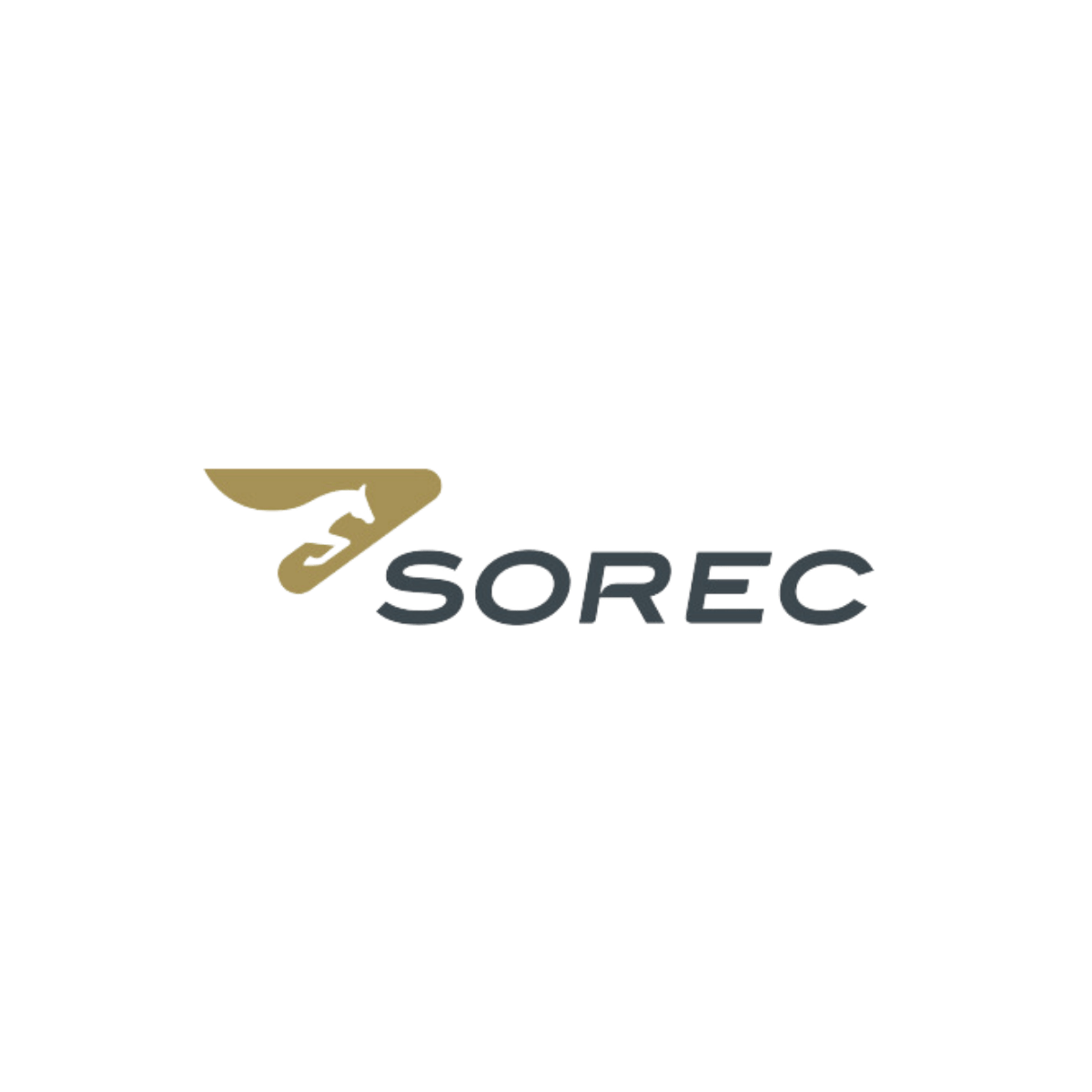 Logo de SOREC