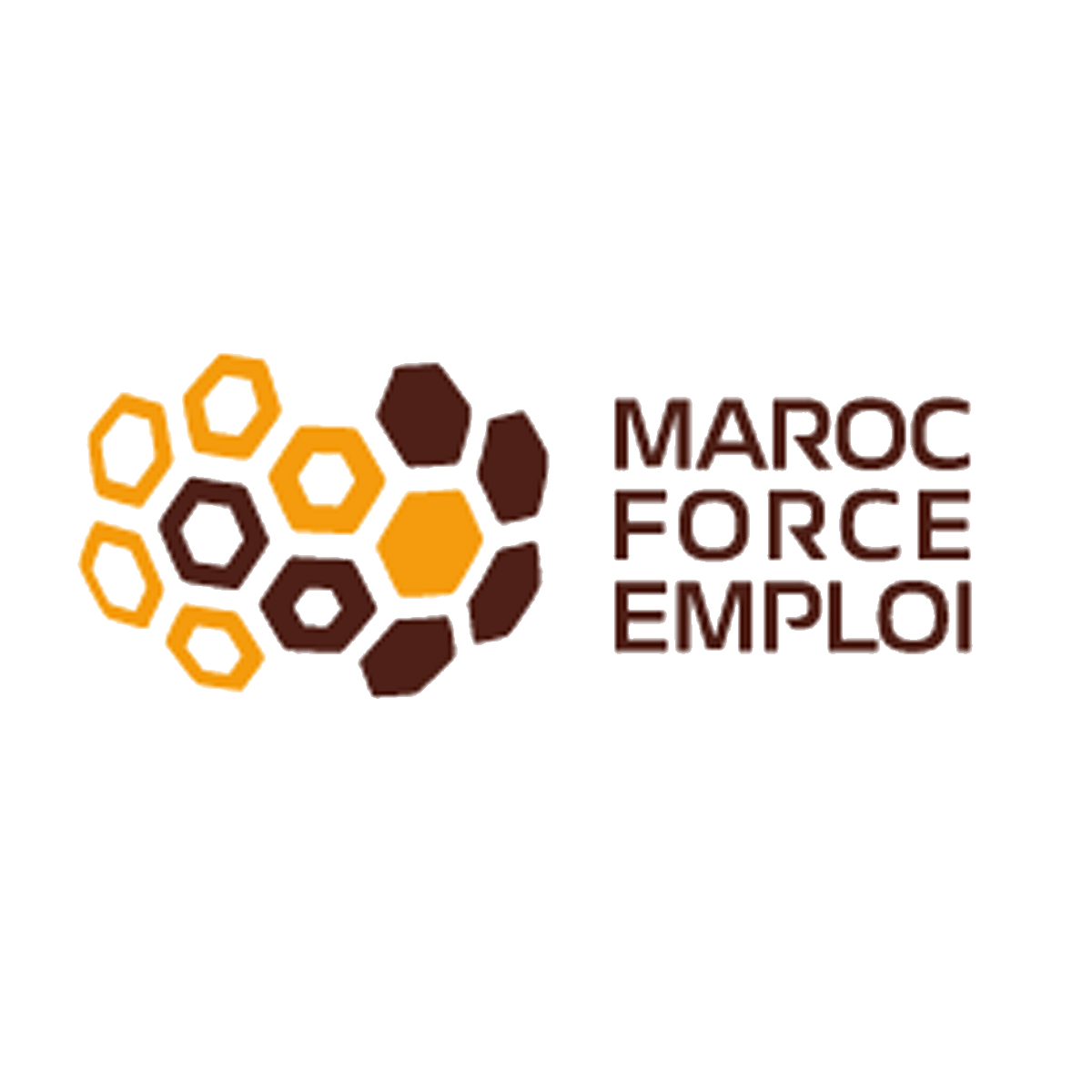 Logo de MAROC FORCE EMPLOI