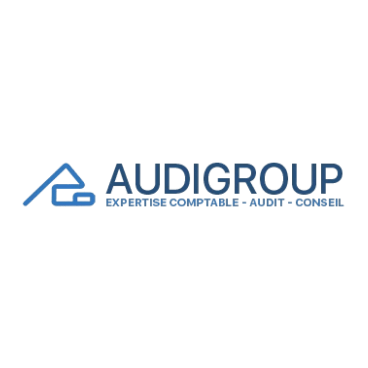 Logo de AUDIGROUP