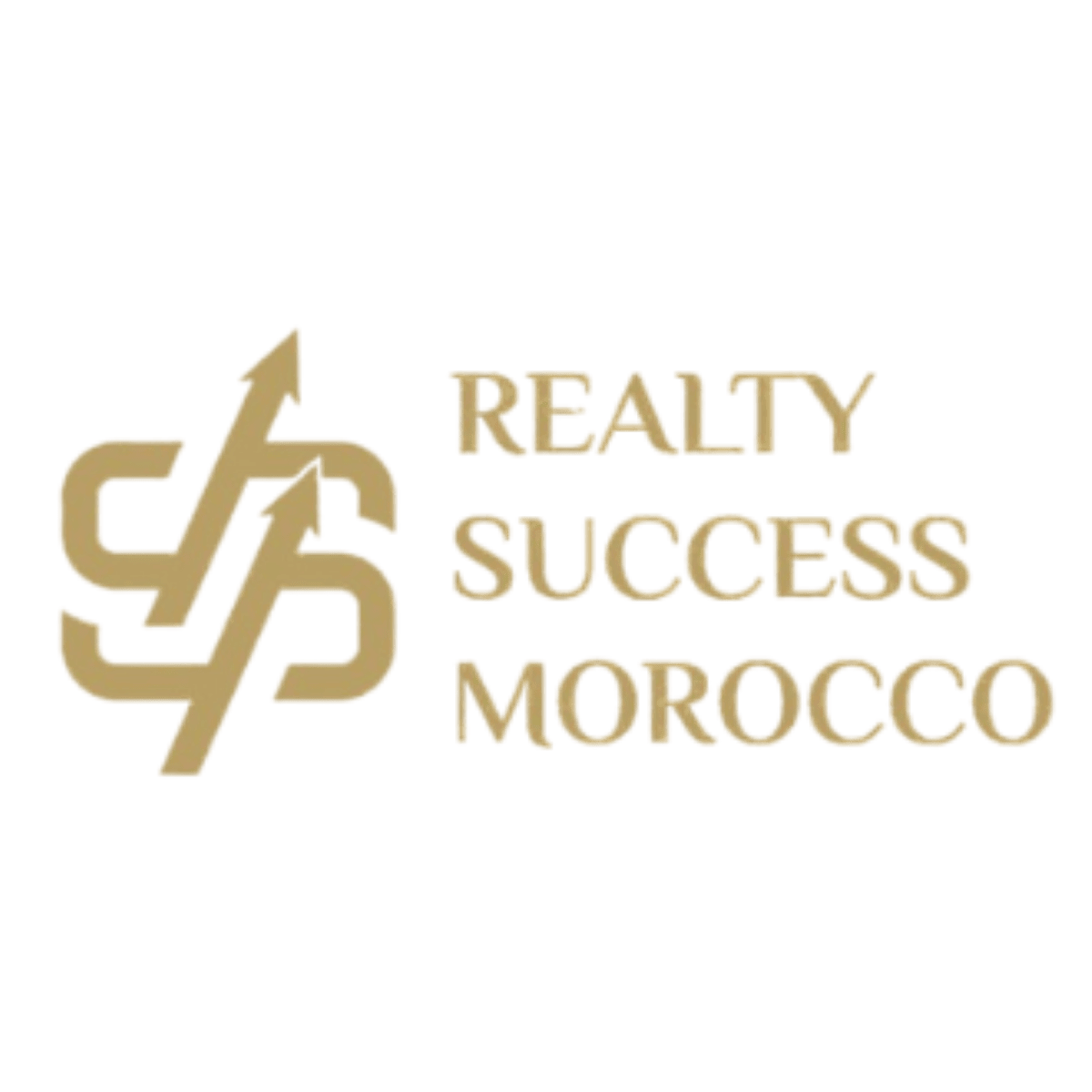 Logo de Realty Success Morocco