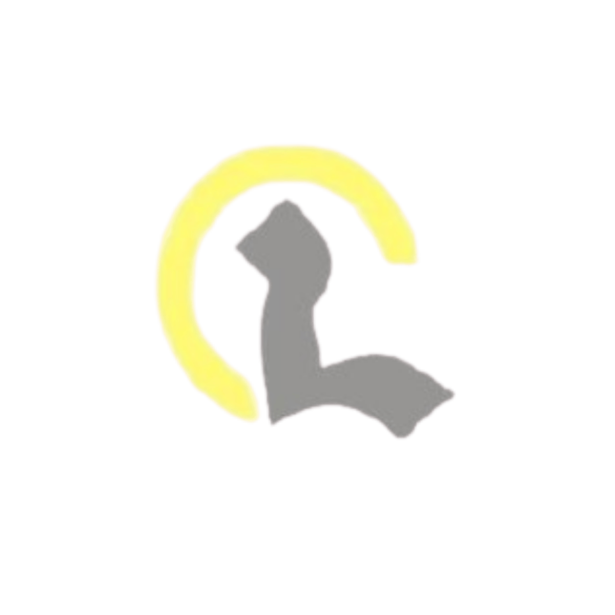 Logo de Covercar TAPINSA