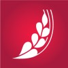 Logo de ROSE BLANCHE Group